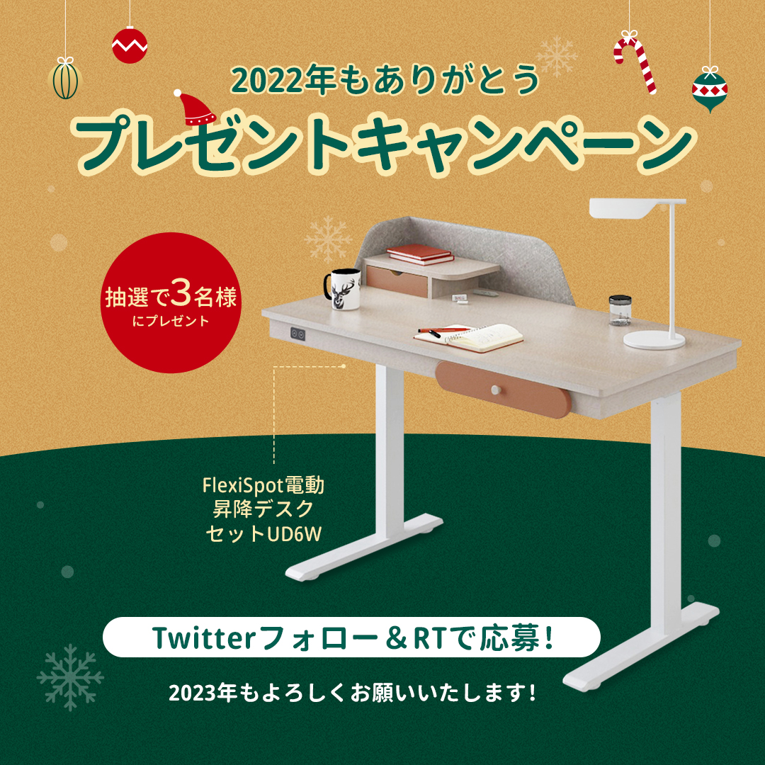 電動昇降デスク　flexispot カネモト様限定　引き取り 電動昇降デスク flexispot カネモト様限定 引き取り（Flexispot