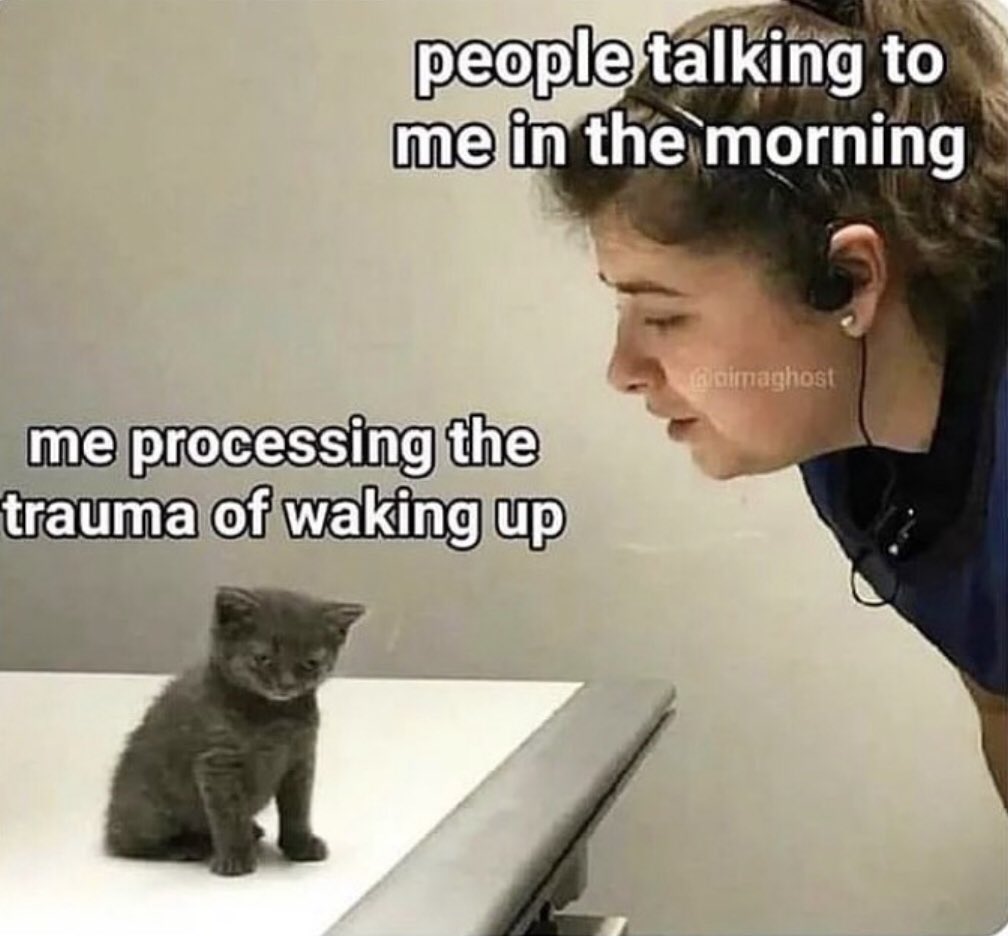literallymecats's tweet photo. https://t.co/MOX8svJgCW