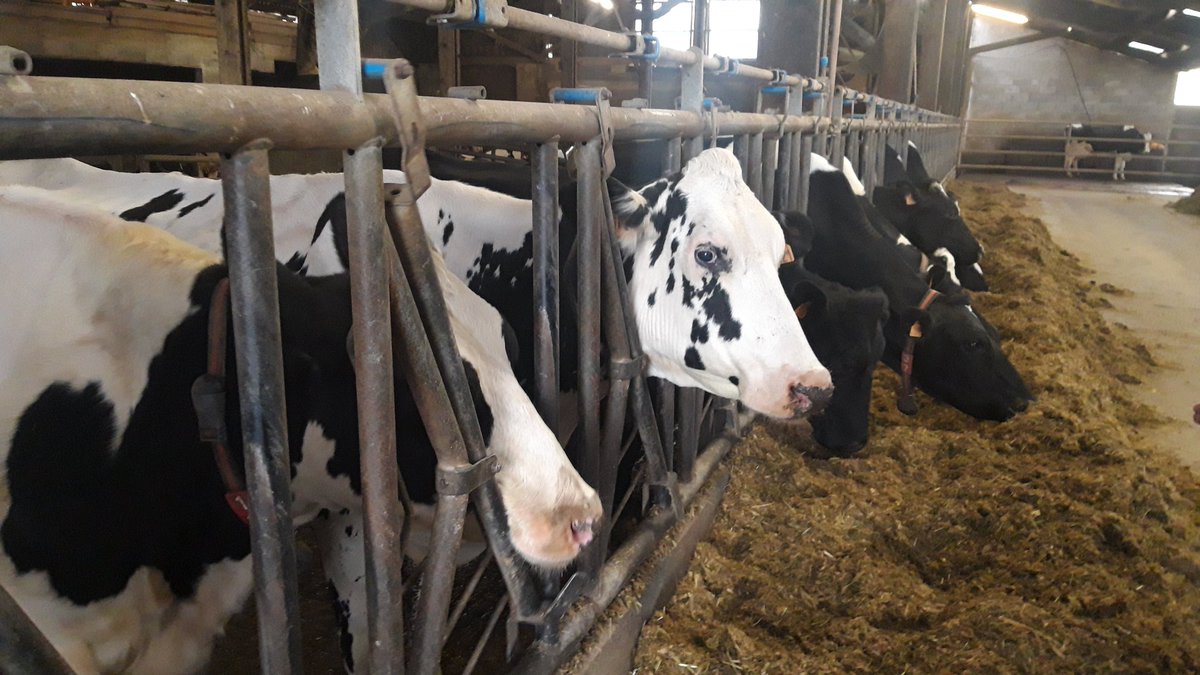 La Coopération Agricole ARA (@lacoopagriara) on Twitter photo Aujourd'hui nous accueillons <a href="/Pannekouckefabr/">Fabrice Pannekoucke</a> vice president agri de <a href="/auvergnerhalpes/">Auvergne-Rhône-Alpes</a> dans l'exploitation de @JavelleJean président de #Sodiaal SudEst pout partager les enjeux de la filière laitière régionale #cooperative #installation #montagne #eau <a href="/SodiaalCoop/">Sodiaal Coopérative Laitière Française</a> @CandiaFrance Aujourd'hui nous accueillons <a href="/Pannekouckefabr/">Fabrice Pannekoucke</a> vice president agri de <a href="/auvergnerhalpes/">Auvergne-Rhône-Alpes</a> dans l'exploitation de @JavelleJean président de #Sodiaal SudEst pout partager les enjeux de la filière laitière régionale #cooperative #installation #montagne #eau <a href="/SodiaalCoop/">Sodiaal Coopérative Laitière Française</a> @CandiaFrance