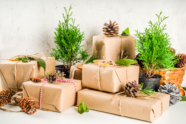 salonzeroplus's tweet photo. Noël c'est dans deux jours ! 🤩
Zéro Waste France et le collectif Encore ont eu une idée originale pour inciter les Français à acheter des cadeaux de seconde main.🎄
👉 Découvrez cette belle idée !

#zeroplus2023 #zerowaste #green #secondemain #noël https://t.co/aCvfdgEjyK https://t.co/KHro3UMgwf