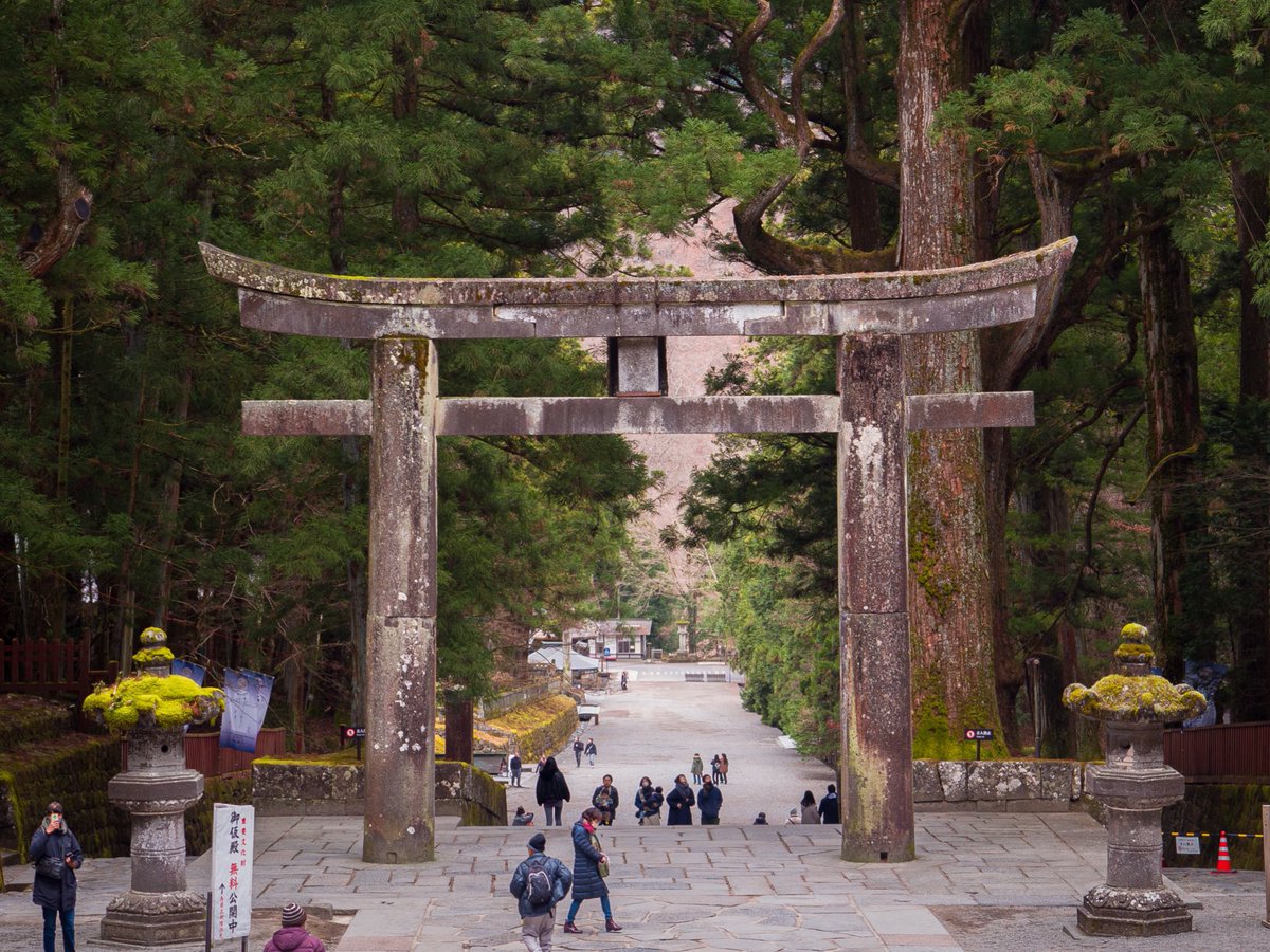 Dani Masagi tweet media