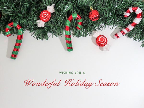 Holiday Wishes - mailchi.mp/ddb7add7a118/h…