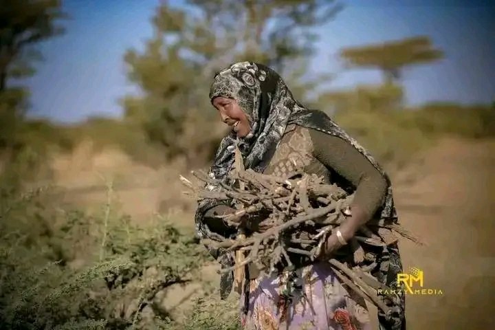 AbdirahmanMayir's tweet photo. Hooyadu waa lama huraan ❤️ https://t.co/WHHz85myvw