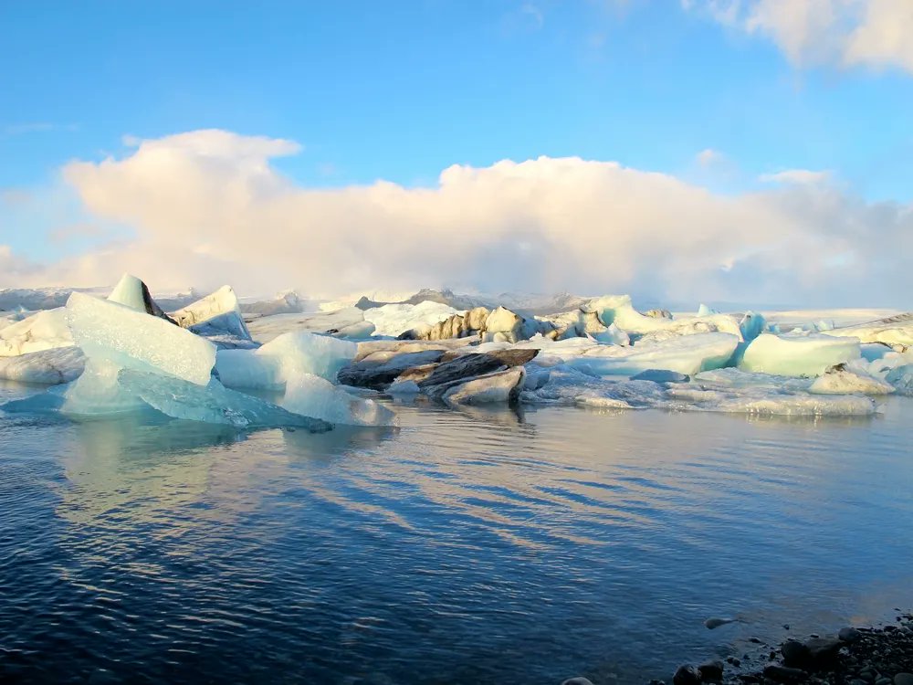For my post-Christmas vacation, I'm thinking about somewhere warmer and more tropical. I hear Greenland is much warmer than the North Pole, and it has some lovely beaches...
#elf #elfstudio