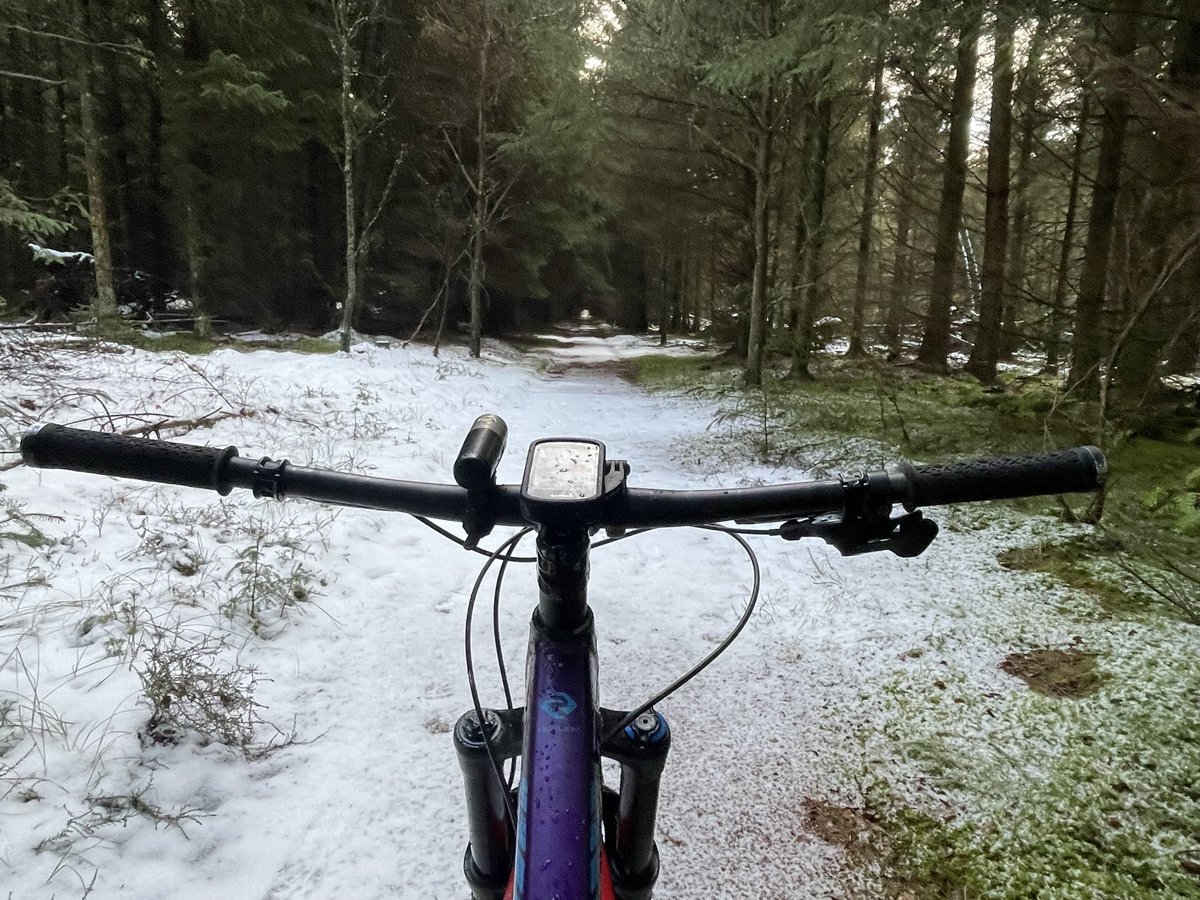 Tentsmuir forest with a dusting of Snow.