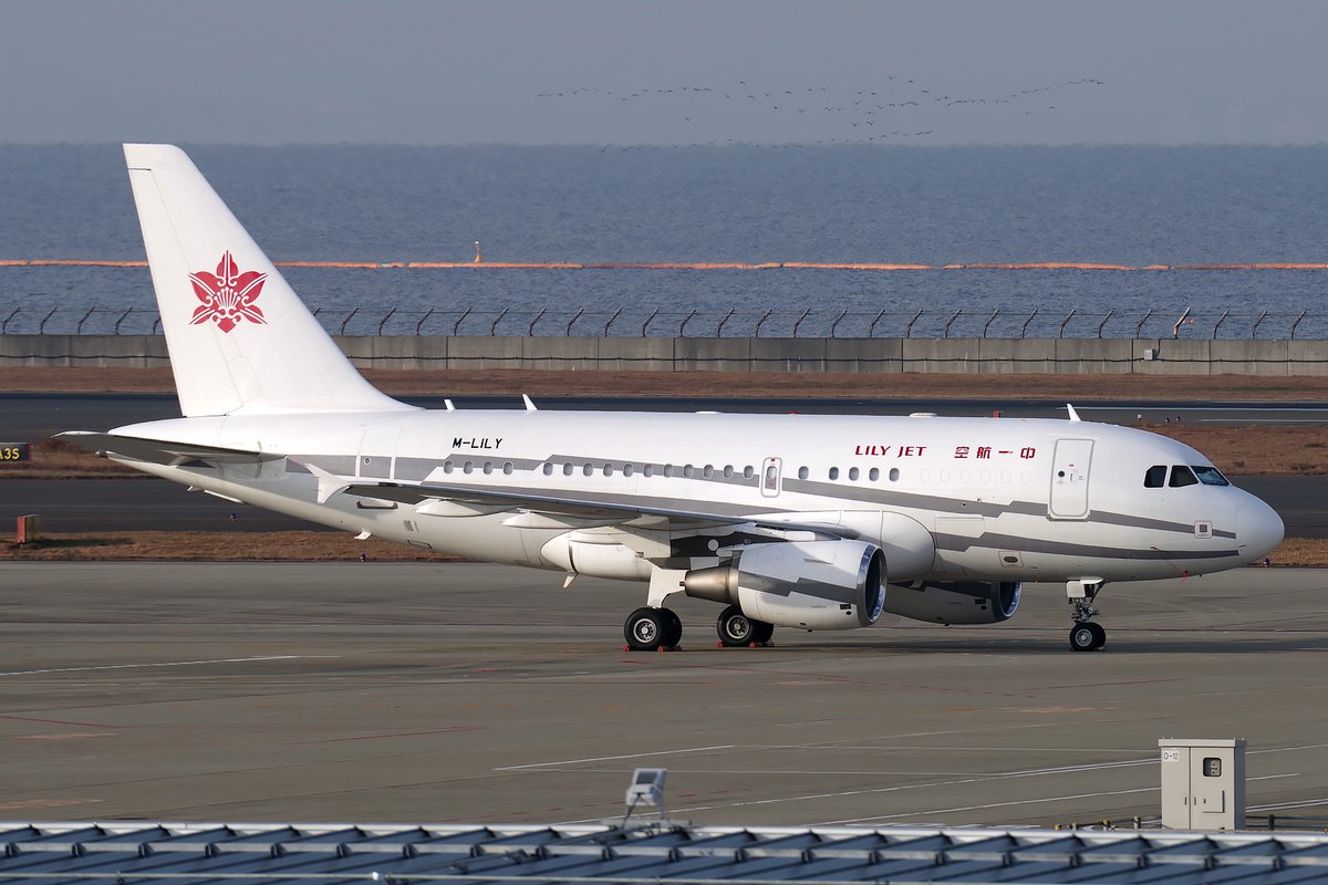 先日札幌から飛来したZYB LILY JETのACJ/MLILY。胴体塗装はSVW時代の名残です。

21DEC2022 RJGG