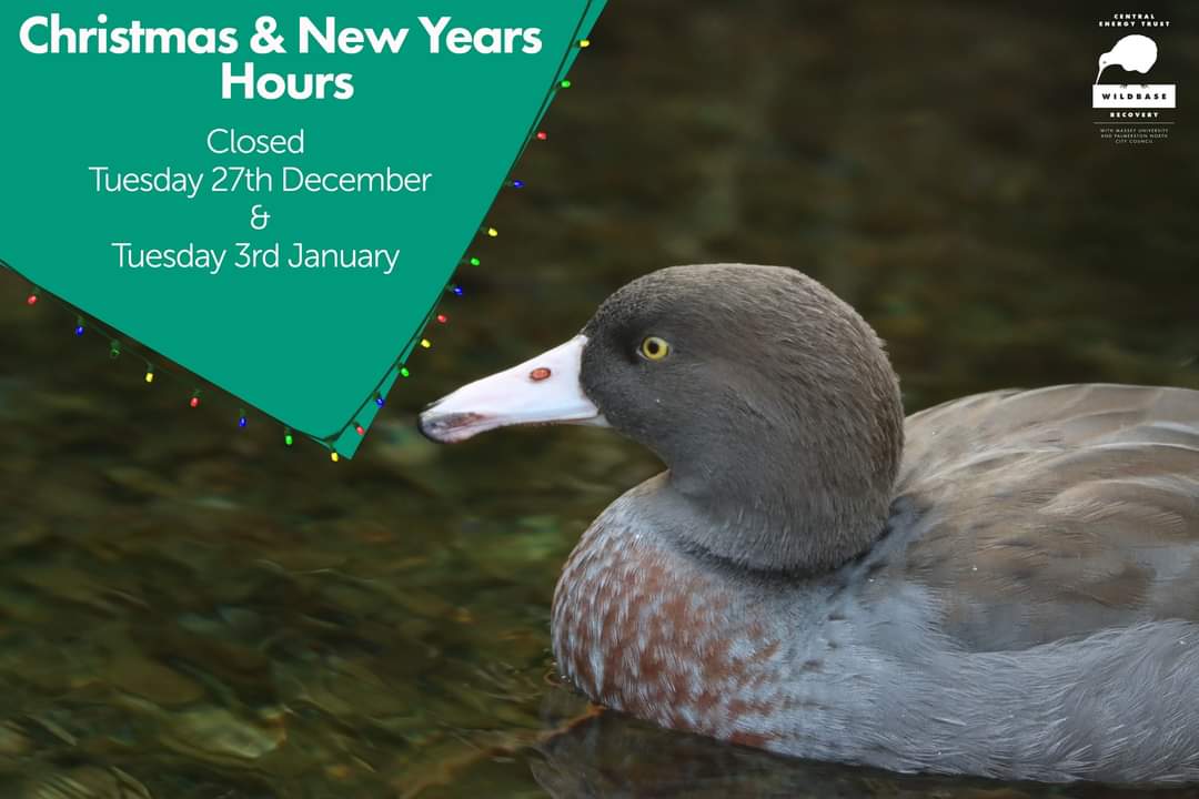 Central Energy Trust Wildbase Recovery tweet media