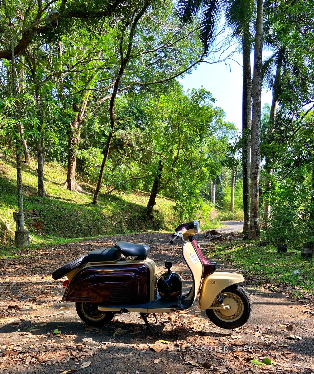 ScooterShed's tweet photo. On any sunny day ☀️ Rajdoot Runabout 
 
#thescootershed https://t.co/gheaWGM5Zr