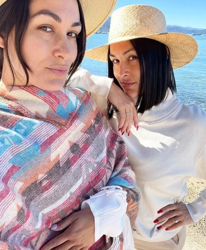 Brie Bella tweet media