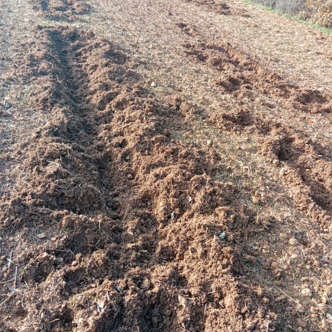 Joves Unió de Pagesos tweet media