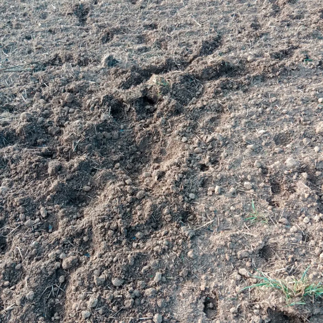 Joves Unió de Pagesos tweet media