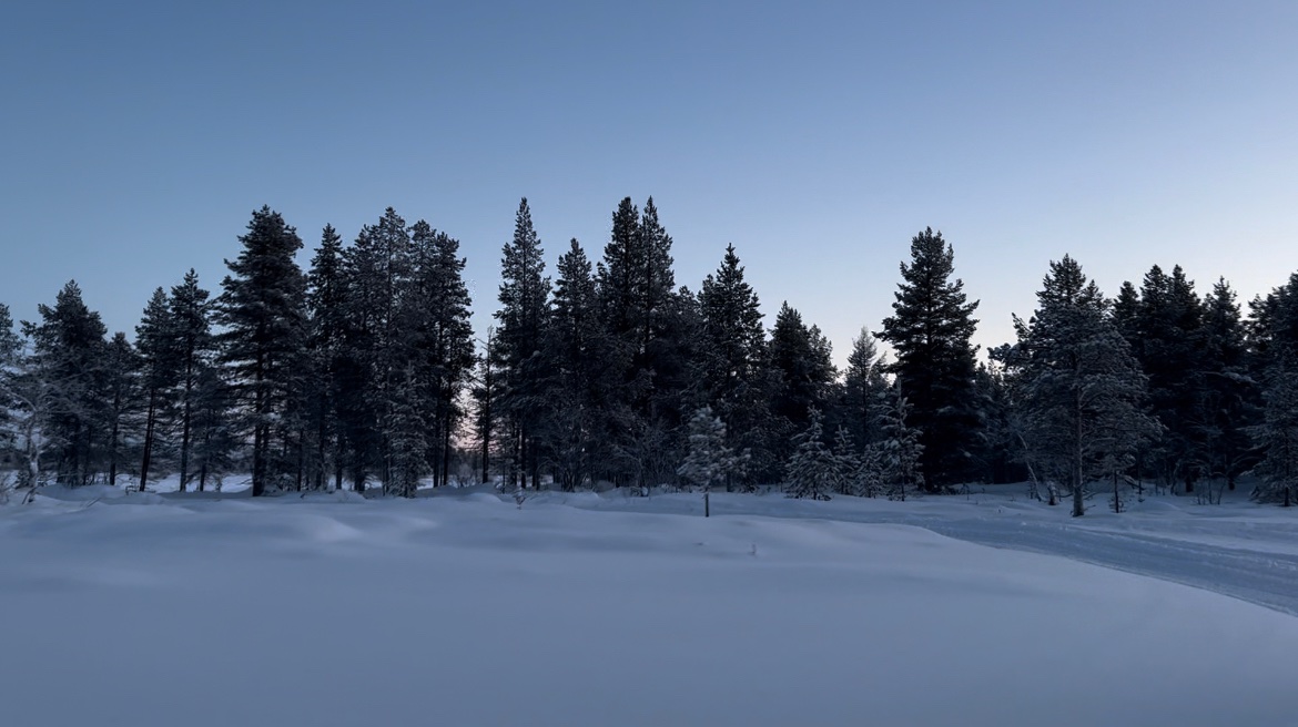 Laura Cates tweet media