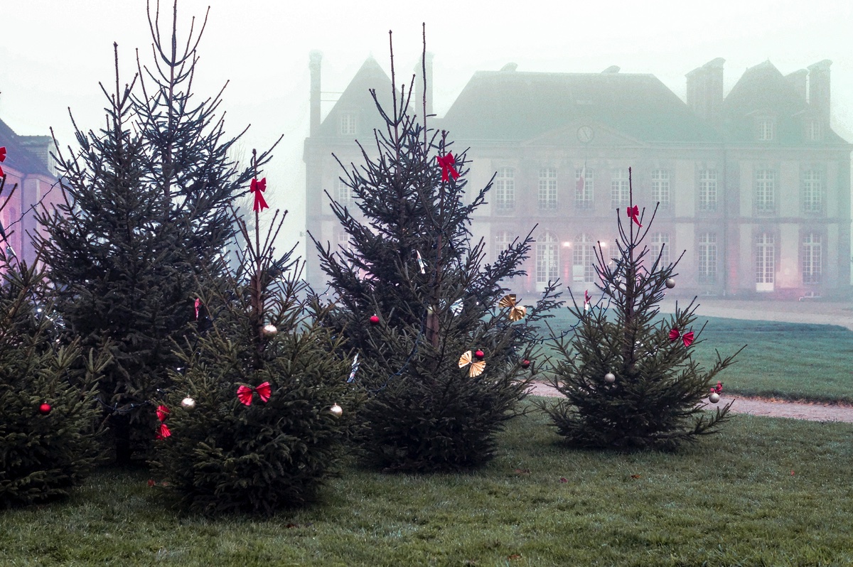 's tweet image. Une journée au #HarasduPin en #famille pendant les vacances de #Noël, ça vous tente ? 👨‍👩‍👧‍👦

Jusqu'au 30 décembre, vous pouvez venir voir notre spectacle de Noël "Le Mystère du Triskell" mais aussi réserver nos différentes activités✨

Réservez sur notre site !
📸 ©WILLYLESPA