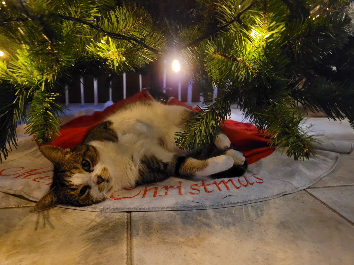 Have a relaxing Xmas .....