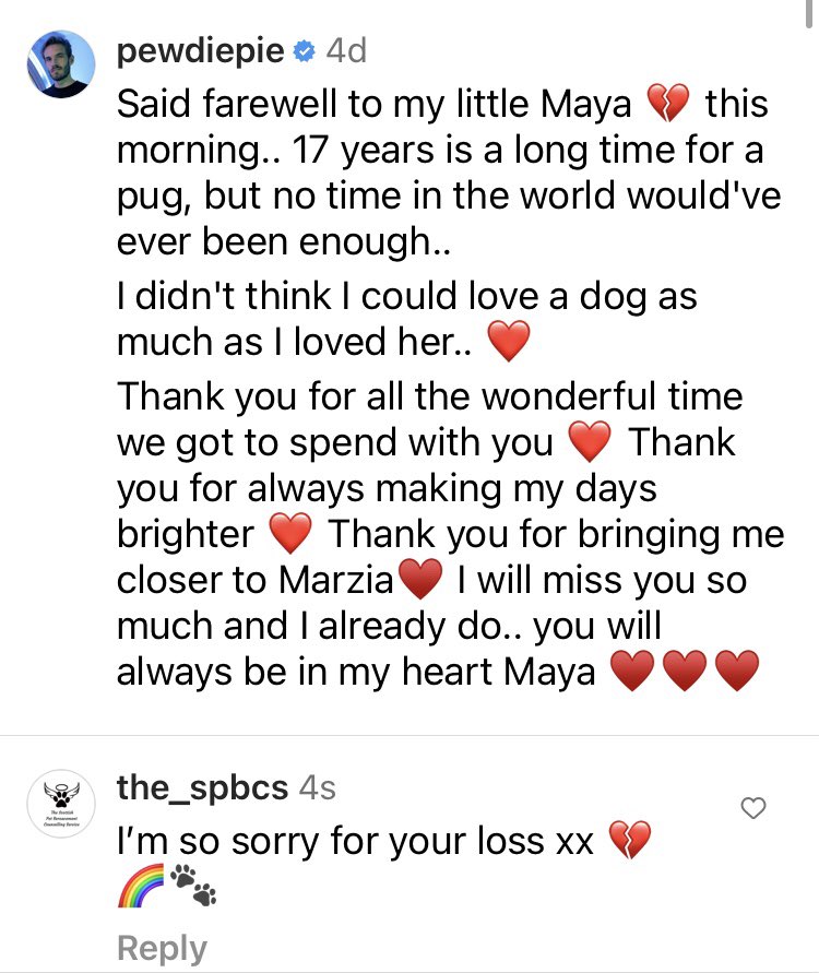 Our sincere condolences to <a href="/pewdiepie/">pewdiepie</a> on the sad loss of his beloved Maya. Xx 💔🌈🐾
#petloss #petbereavement #counsellor #author #pewdiepie