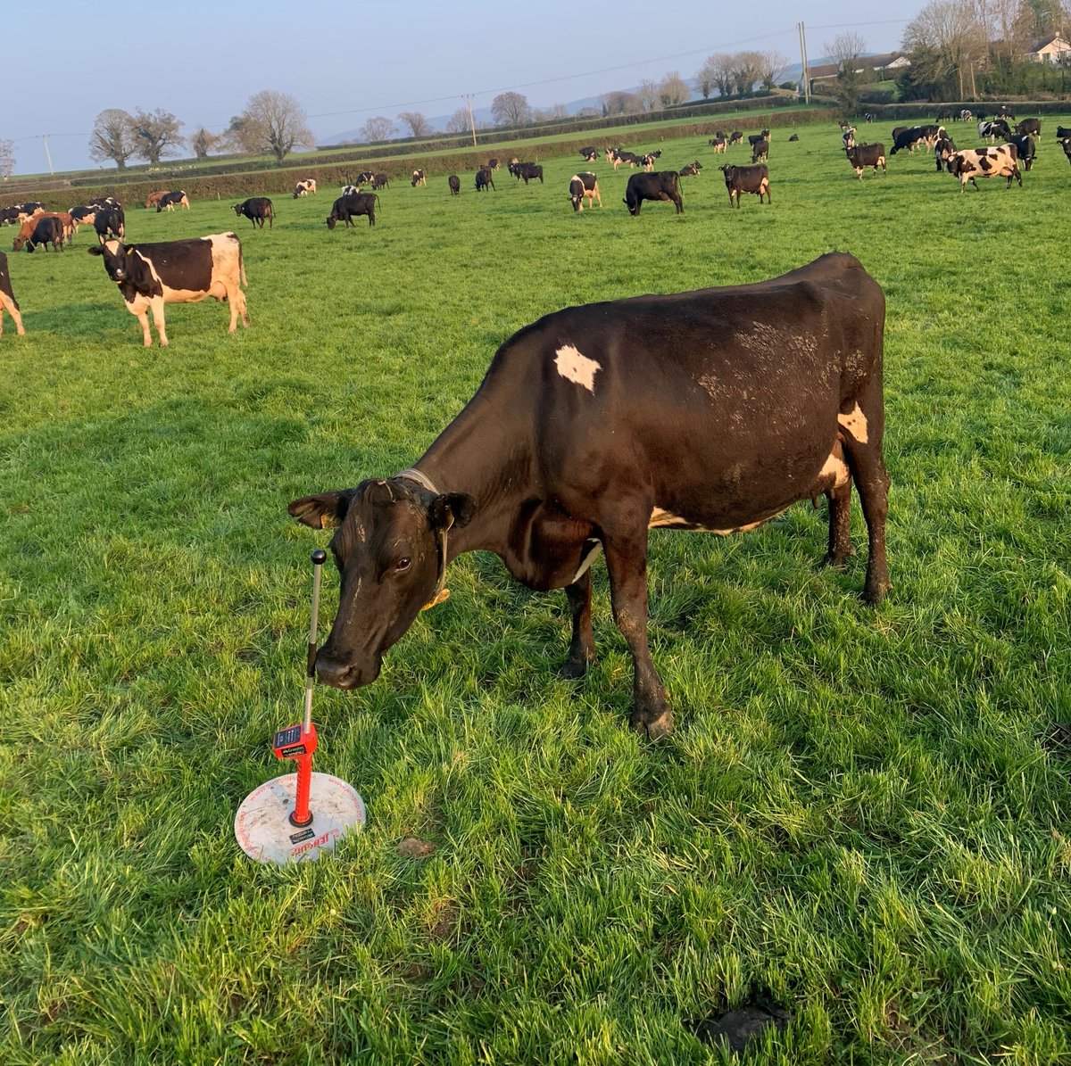 Nitrates Derogation Training Course January 9th, 11th &amp; 13th. This course is for new applicants in 2022. Click on the link to register itsplainsailing.com/org/farmershan… <a href="/aca_services/">Agricultural Consultants Association (ACA)</a> <a href="/heffernanagri/">Martin Heffernan & Associates</a> <a href="/martincrowe/">martin crowe🐄</a> <a href="/EoinGallagher85/">Eoin Gallagher</a> <a href="/agriculture_ie/">Dept of Agriculture, Food and the Marine</a> <a href="/LauraIJohnston/">Laura Johnston</a> <a href="/AgriConsultancy/">Tim Bourke</a>