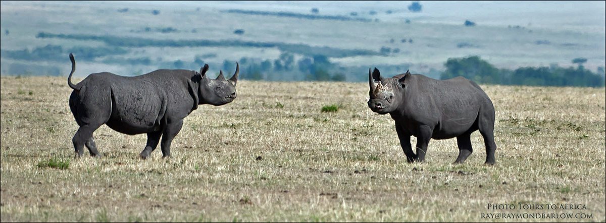 <a href="/incigolf/">Inci Mehmet</a> <a href="/BurmyGolf/">Dean Burmester</a>   <a href="/TonyJohnstone56/">Tony Johnstone</a>  <a href="/DaleHay41993689/">Dale Hayes</a> 

I watch all your coverage with the DP tour., I listened to Inci's interview with Dean. “Makes me ashamed of being human”.  A quote by Dean I will never forget.  I plan to sell this image in my Just One Print series. TBC