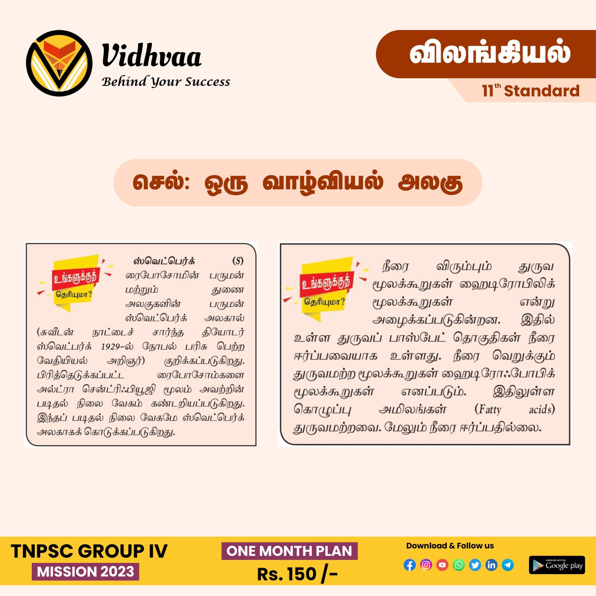 vidhvaa's tweet photo. 11- ஆம் வகுப்பு விலங்கியல்
செல் : ஒரு வாழ்வியல் அழகு
#vidhvaa #tnpscgroup #tnpscstudymaterial #tnpsc #tnpsctamil https://t.co/KJUK6aXhaq