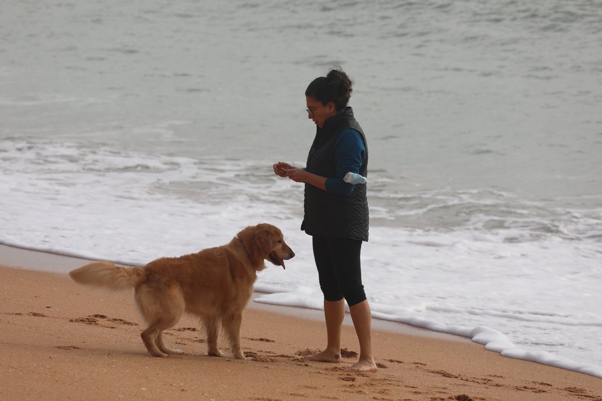 Mar Fuentes Lanning tweet media