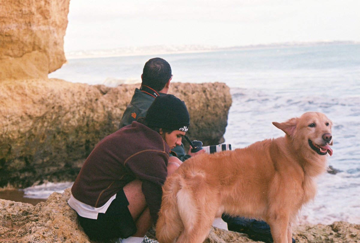 Mar Fuentes Lanning tweet media