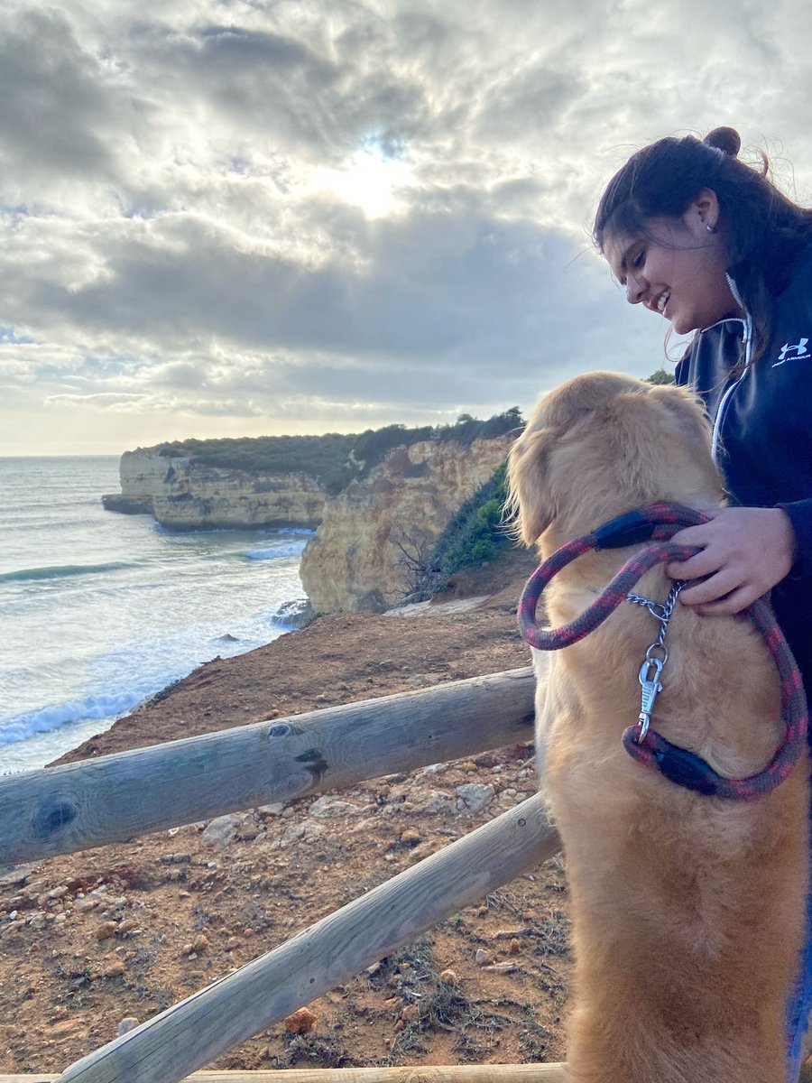 Mar Fuentes Lanning tweet media