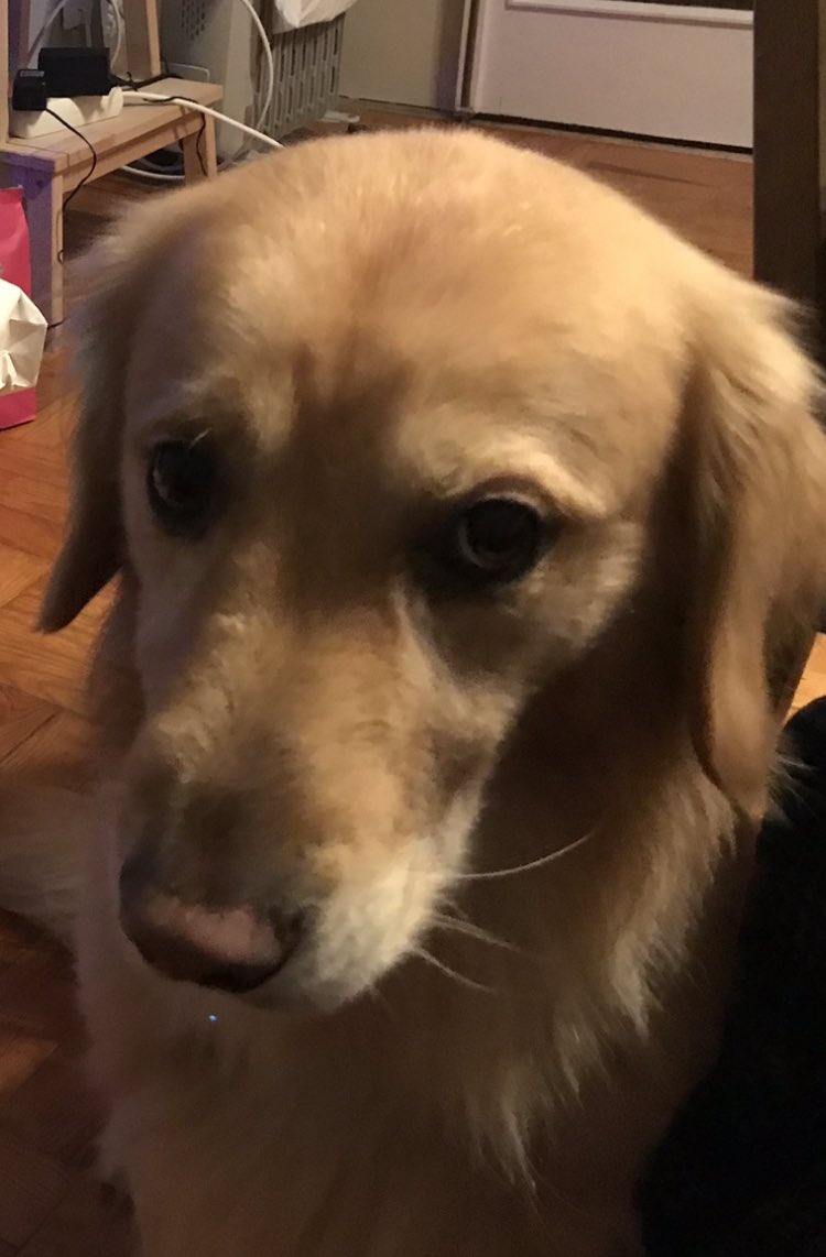 Mar Fuentes Lanning tweet media