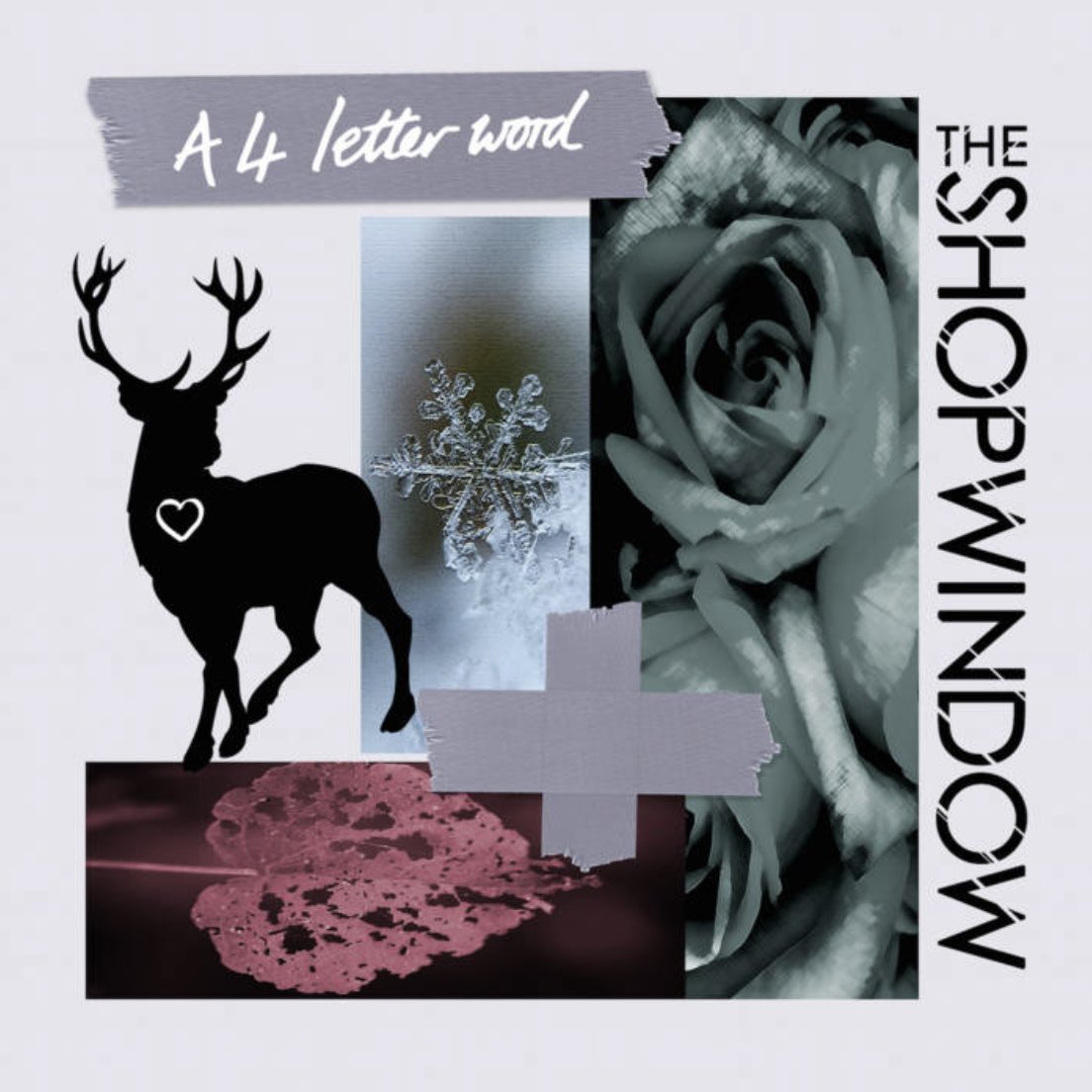 EverythingIndieOver40 tweet media