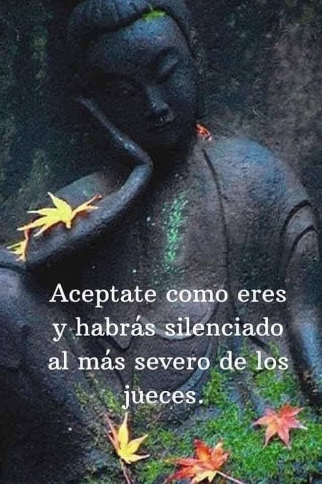 VidaEquilibrada (@vidaequilibrad4) on Twitter photo 
