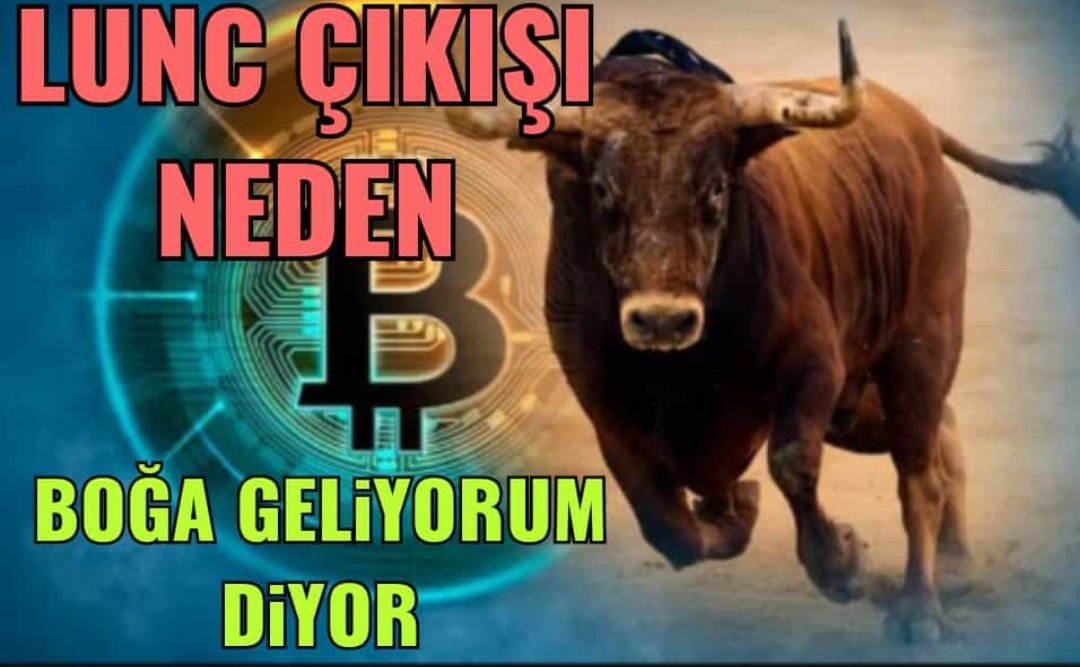 ceyhun özyazgan tweet media