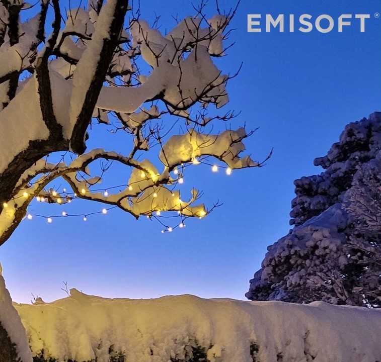 Nyt de siste dagene av 2022 (forhåpentligvis med litt snø), og lad opp til 2023 🙏

Riktig god jul og godt nyttår fra alle oss i Emisoft🎅