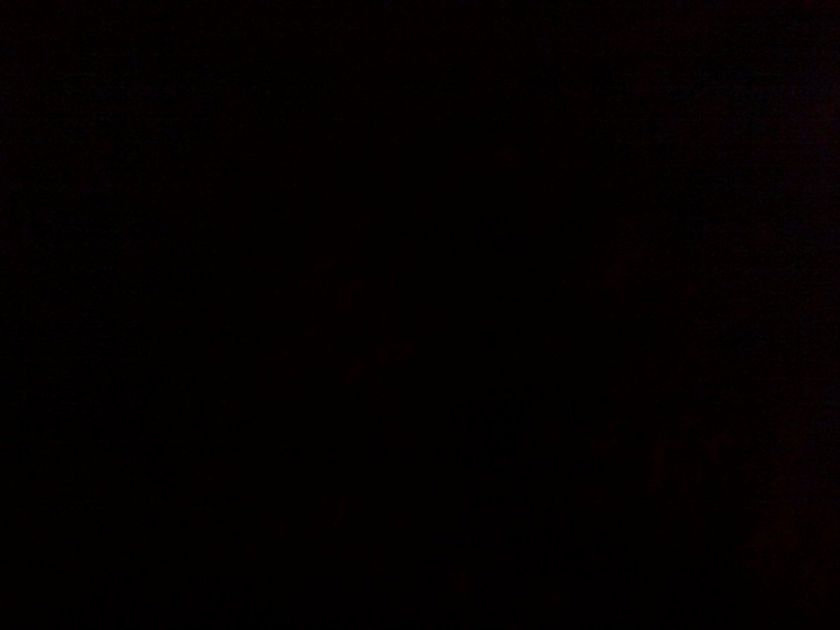 ham_watch tweet picture