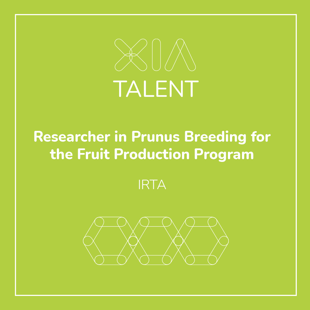 #OFERTAFEINA

Researcher in Prunus Breeding for the Fruit Production Program a <a href="/irtacat/">IRTA</a> 

✍️ xia.network/arxius-talent/…

#FEDERrecerca #XIATalent