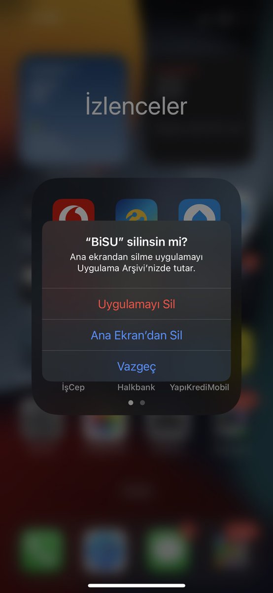 Teşekkürler #bisu, ilişkimiz buraya kadarmış😏 <a href="/tektuslabisu/">BiSU</a>