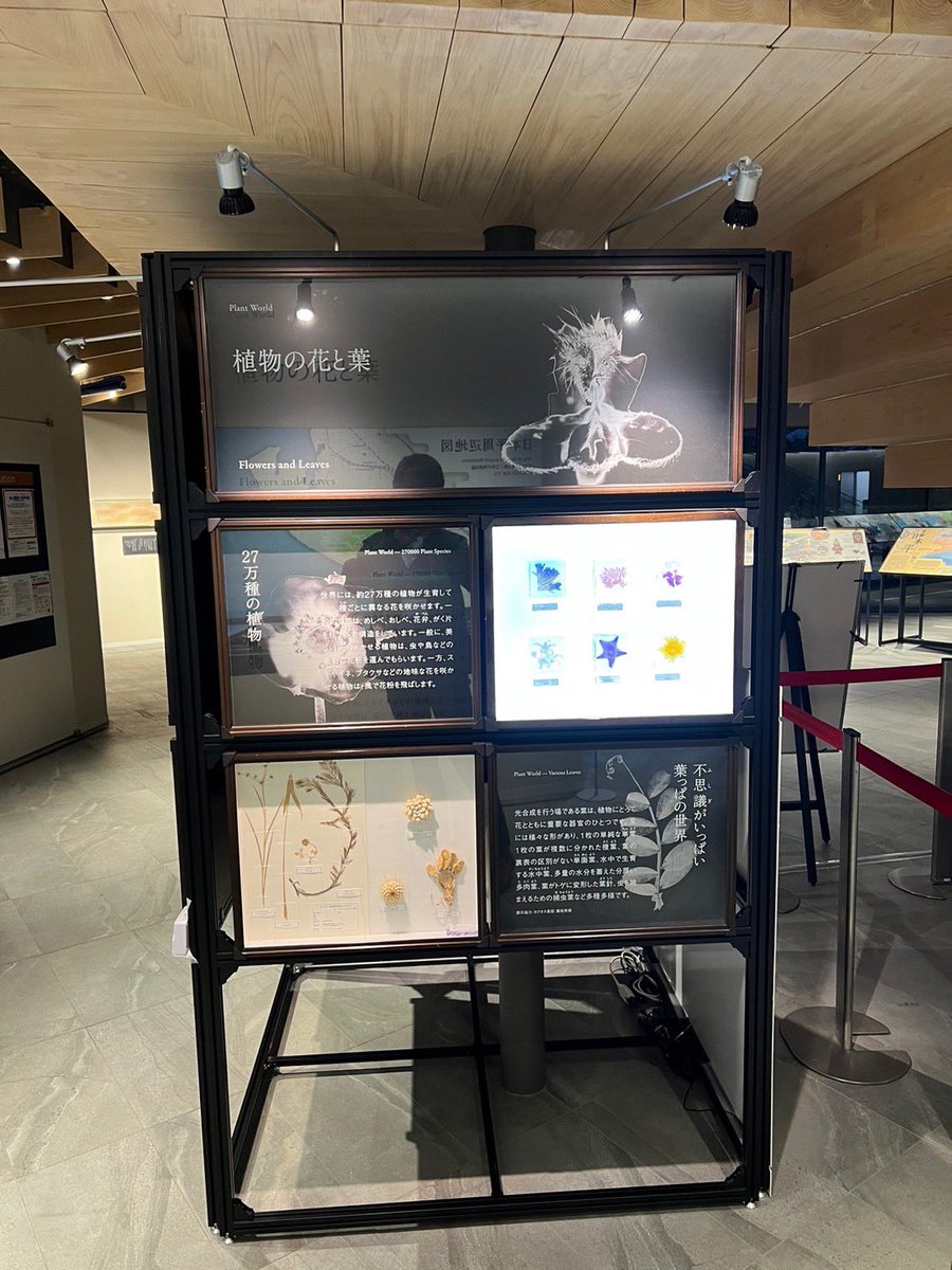fujinokuni_NEM's tweet photo. #日本平夢テラス に、ミュージアムキャラバン「植物の世界」の一部が出張展���しています。
アクリル標本の綺麗な花やバームクーヘンのような年輪が見れます🌸
2月中旬ごろまで展示していますので、夢テラスにお越しの際はぜひご覧ください！ https://t.co/OHrf3CNZI3