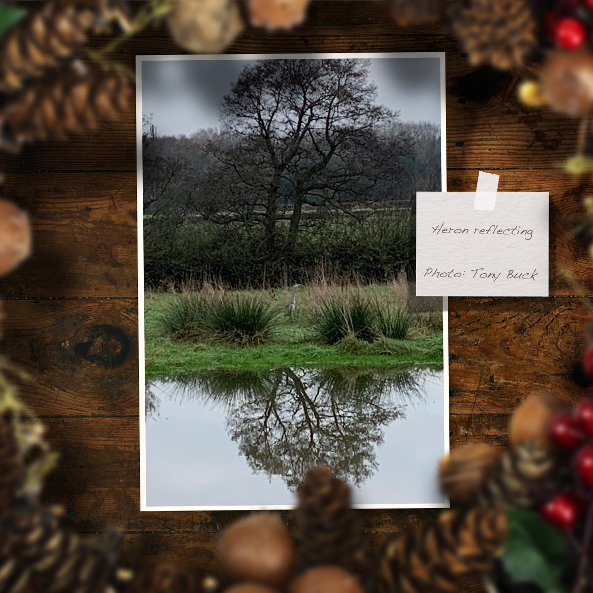 LongLandsCommon's tweet photo. 12 Winter Wonders of Long Lands Common
Over the month of December, we tasked our Site Ranger team with photographing the winter delights they came across during their regular patrols at Long Lands. The result?
#longlandscommon https://t.co/4GVQm9VZ5i