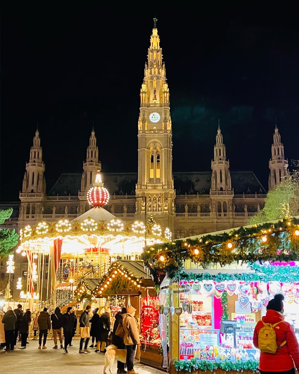 3年ぶりにヨーロッパではクリスマスマーケットが開催されています🎄🎄⭐️  添乗員さんよりHOTなお写真が届きました🇦🇹    ワイン飲んで、コンサート聴いて夢のひとときです🎻