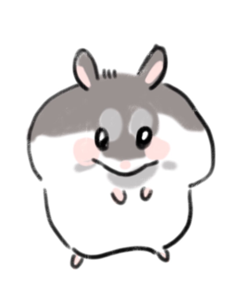 아무말없이 동물 그리는 계정🐹 (@haaammm201) on Twitter photo 