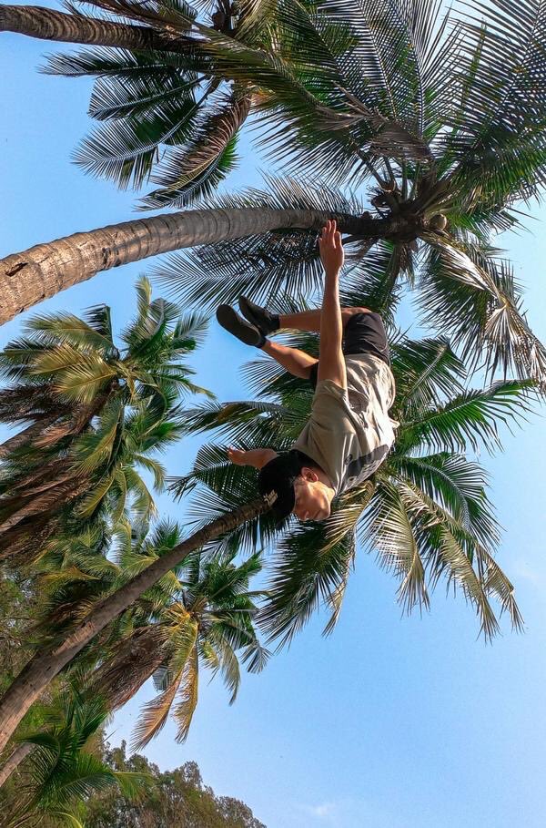 TKFLT's tweet image. Backflip in paradise 🌴 
TKFLT.com