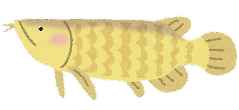 Kaspaは、ヘブライ語で「魚のうろこ」を意味しているKaskasimに由来しています！
By <a href="/DesheShai/">Shai ❤️ Deshe 💜 Wyborski 💙 (大胡子) @ deshe.kas</a>