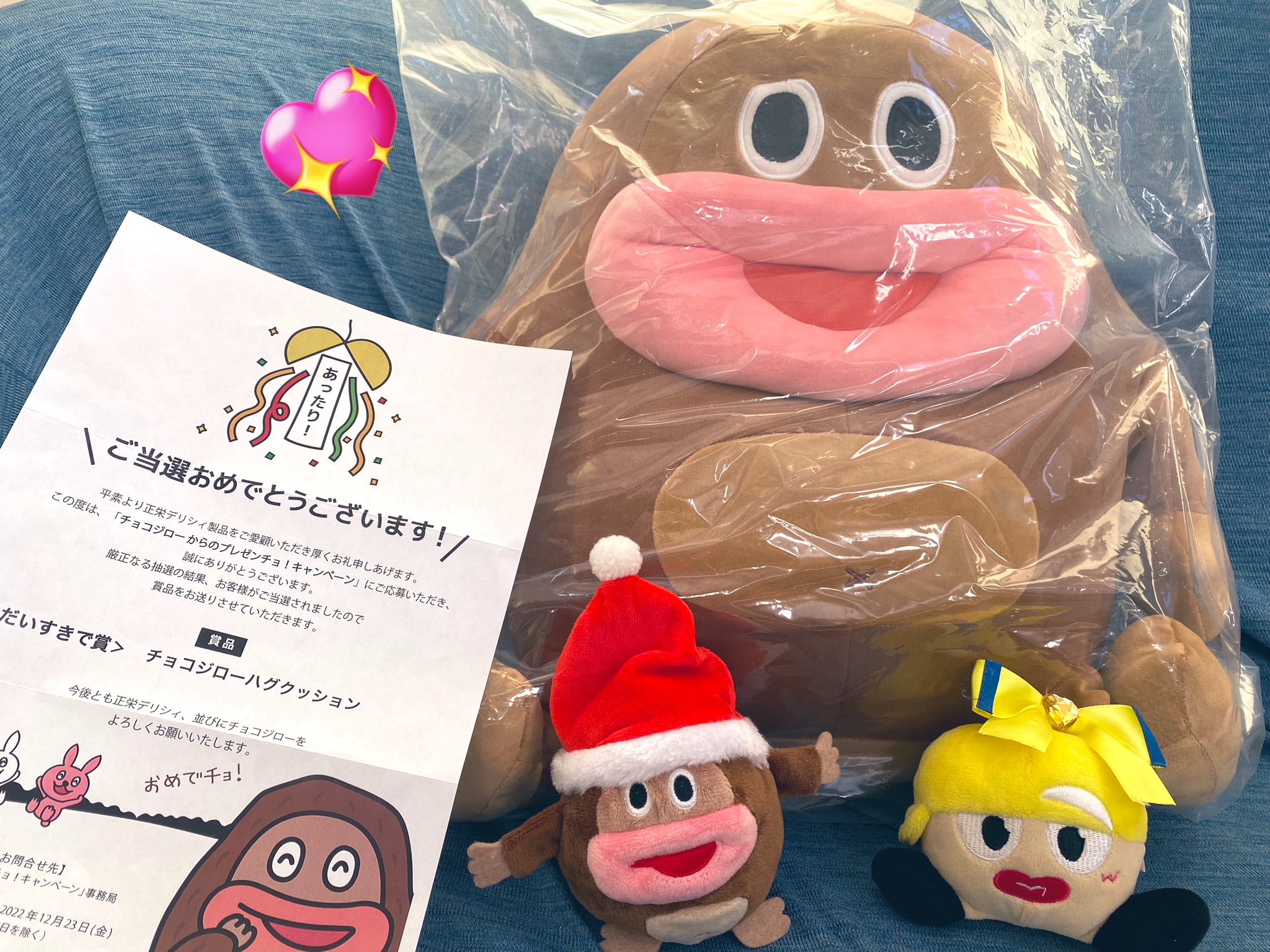 【ひろひろ】チョコジロー ハグクッション チョコジロー ハグクッション サク山チョコ次郎 ぬいぐるみ