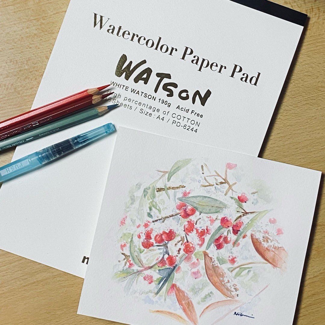 「#おめでとうホワイトワトソン20周年ご依頼品で初めて、水彩色鉛筆での水彩画に挑戦」|しいにゃん@色鉛筆3色画のイラスト