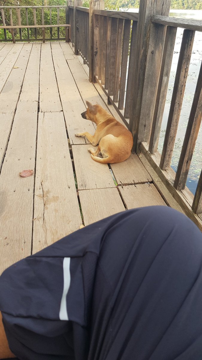 Trade1Trader's tweet photo. anywhere with my best friend https://t.co/JfhMfwNMj7