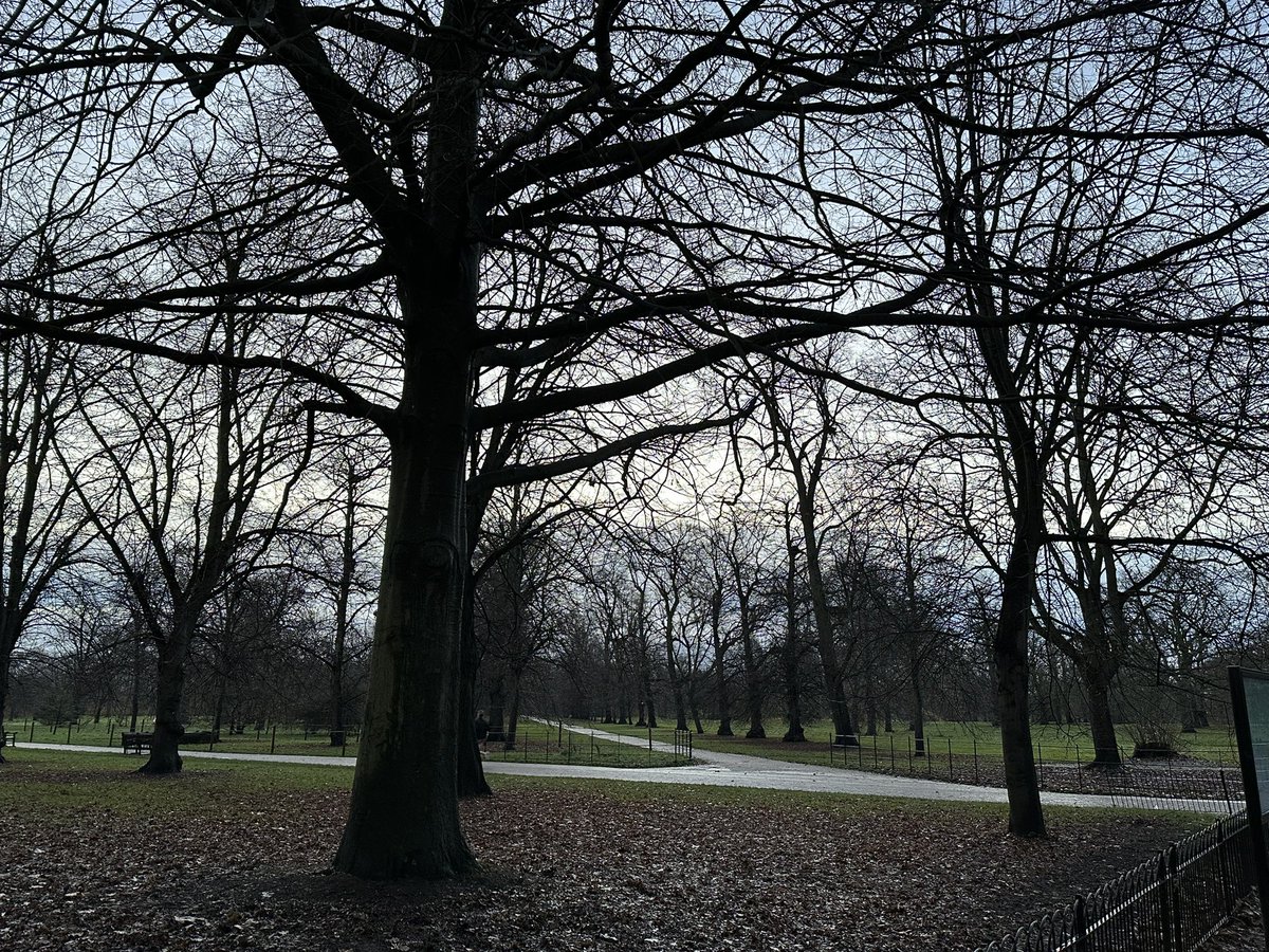 Richard Blissenden tweet media