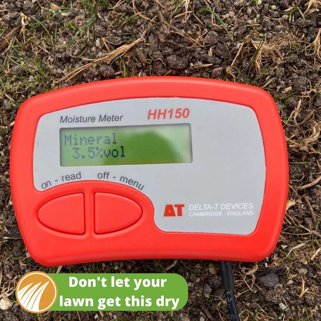 You will start to notice the lawn colour and vigour deteriorating if moisture levels drop under 10%. If no watering restrictions are in place and you are able to, a heavy soaking once a week to keep levels around 15-20% will keep your grass green and lush