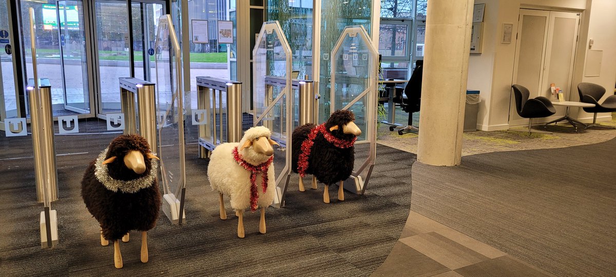 Mal_Fitzgerald's tweet photo. In Teesside Library we have  have free hot chocolate, coffee and festive treats!!  Oh...and sheep, can't forget the sheep. https://t.co/t5OFb46vIL