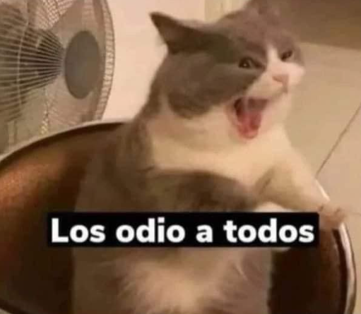 Flantasma1's tweet photo. "Yo bajo presión trabajo mejor"
Yo, bajo presión: https://t.co/vpX2kJkISr