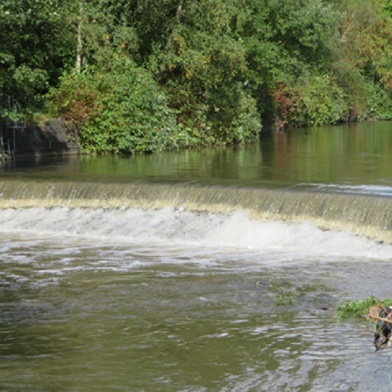 EnvAgency's tweet photo. Over £5 billion of action has been set out in the latest River Basin Management Plans, to help protect and improve the quality of England's rivers, lakes, estuaries and coastal waters.
Discover some of the previous projects our team has worked on ⬇️
