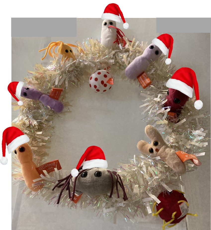 Genome Detectives tweet media