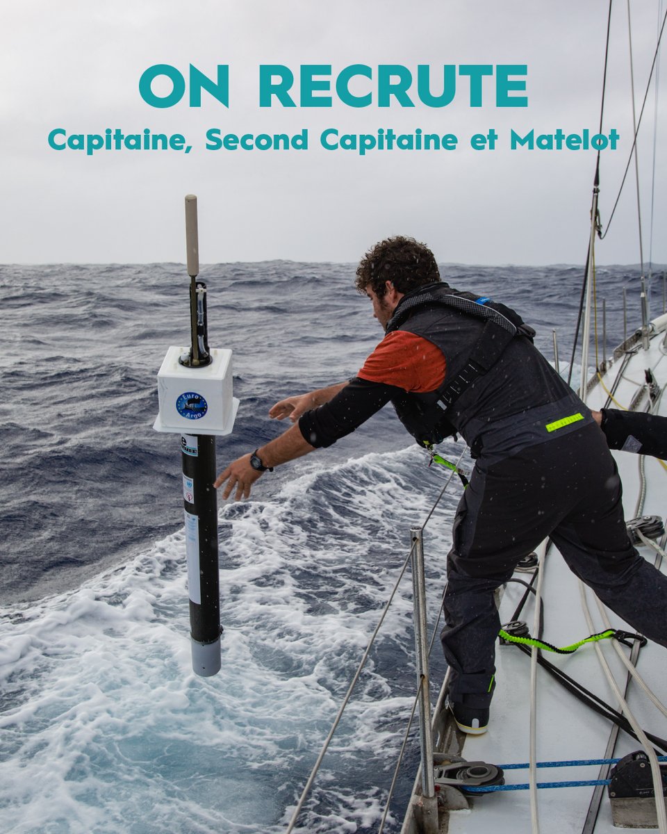 ON RECRUTE | Profils de capitaine, second capitaine, et matelot.
Détail des offres 👉 blue-observer.com/recrutement-me…

#blueobserver #sailingforscience