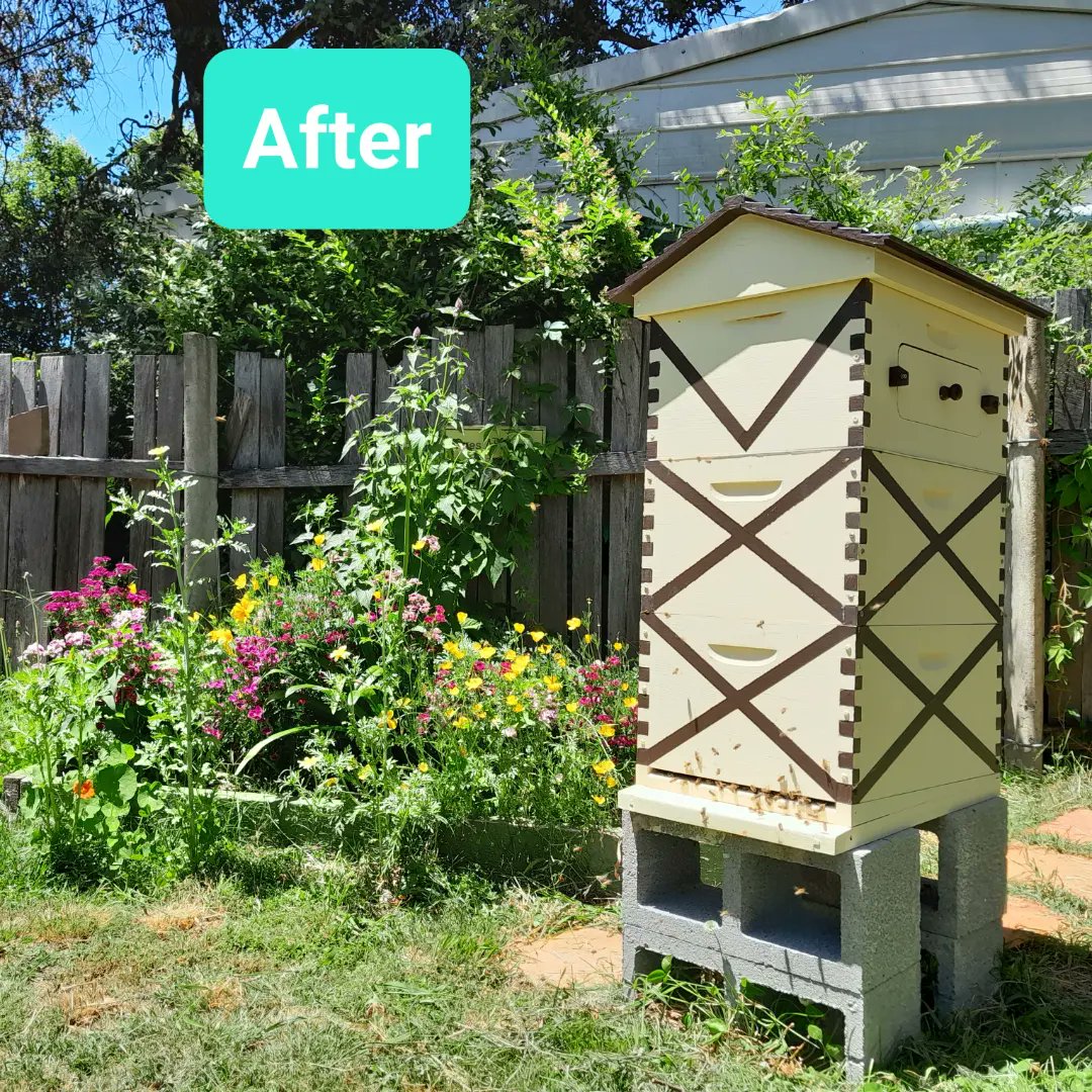 indeliblehuman's tweet photo. Decided to give my @flowhive a makeover 😄🐝🐝🐝 https://t.co/PAkmXi5Y3K